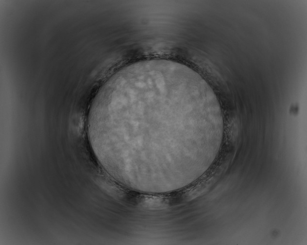 X0000101160709200807181359