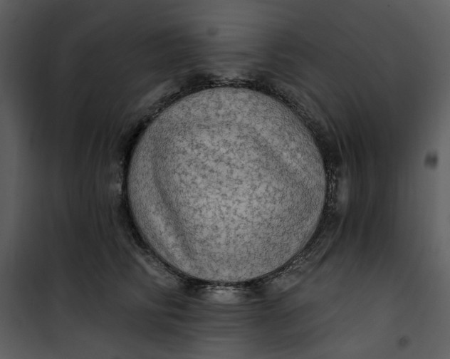 X0000101160710200807181359