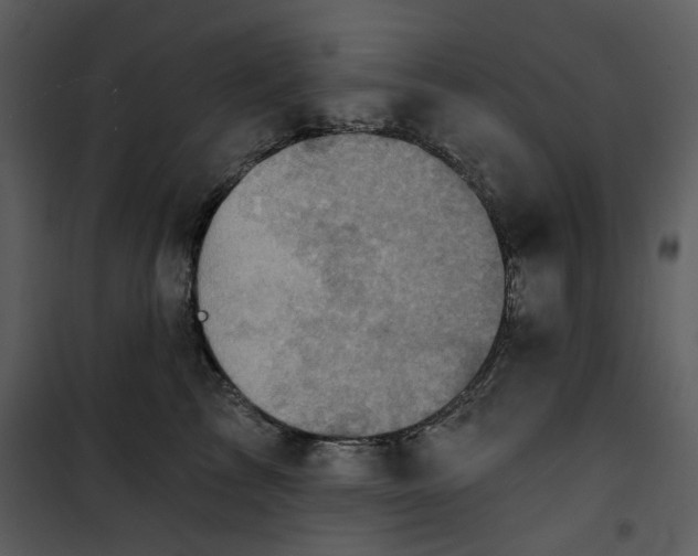 X0000101160713200807181359