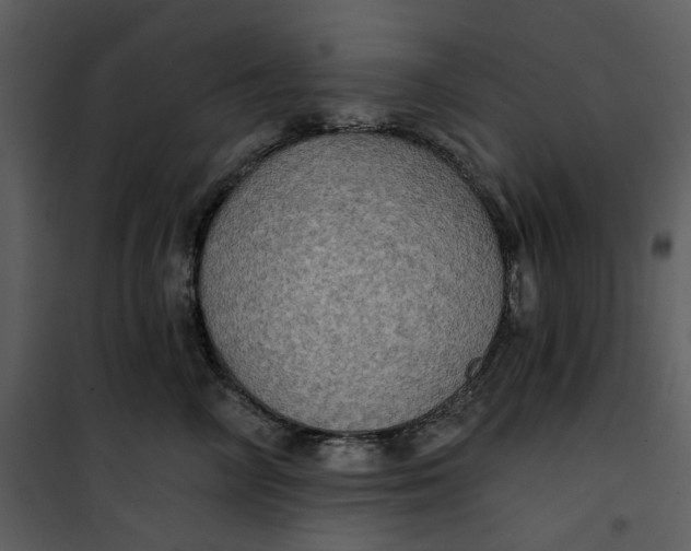 X0000101160714200807181359