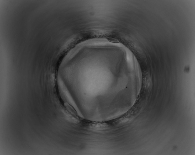 X0000101160716200807181359