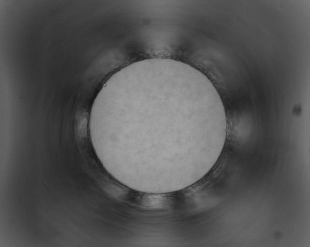 X0000101160717200807181359