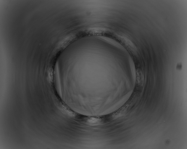 X0000101160718200807181359