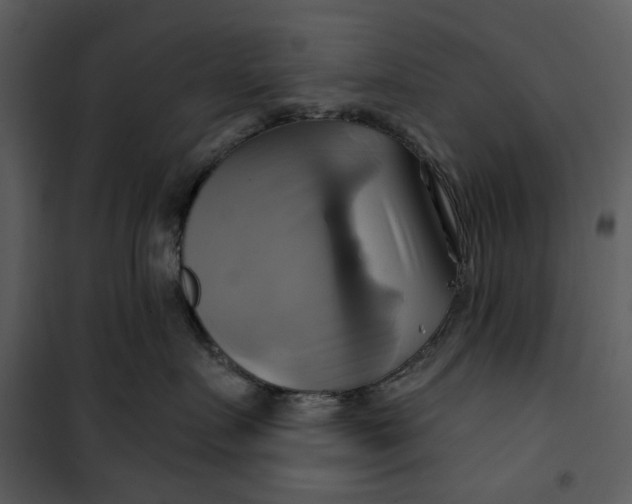 X0000101160719200807181359