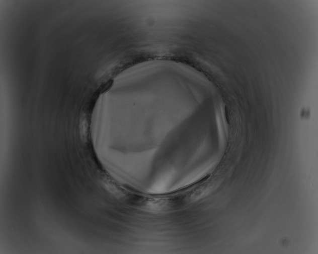 X0000101160720200807181359