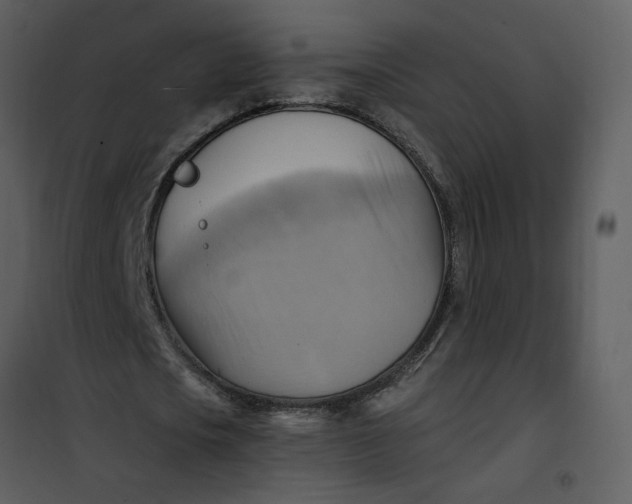 X0000101160721200807181358