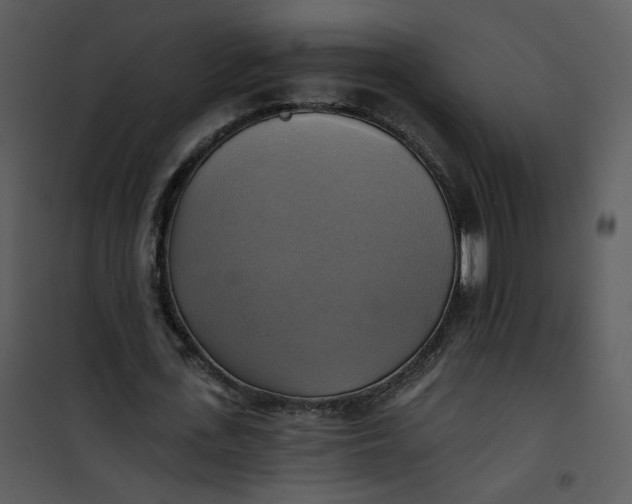 X0000101160723200807181358