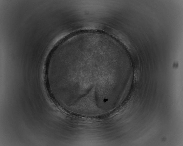 X0000101160724200807181358