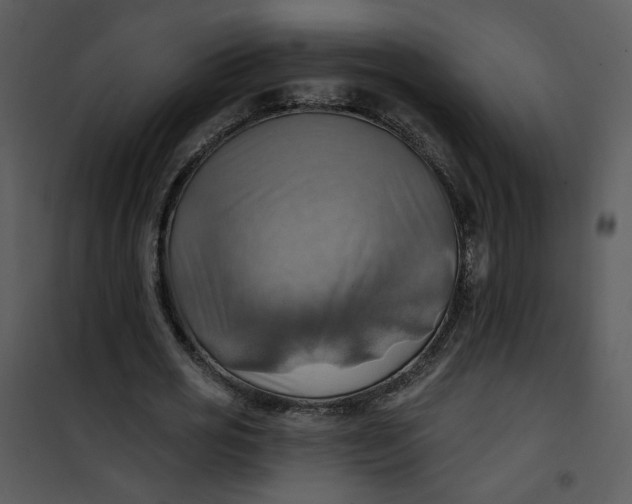 X0000101160725200807181358