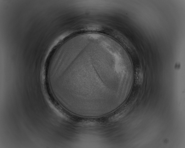 X0000101160726200807181358