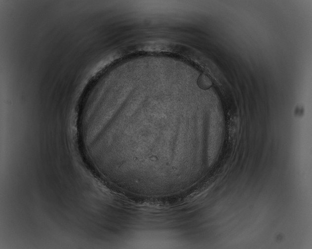 X0000101160727200807181358