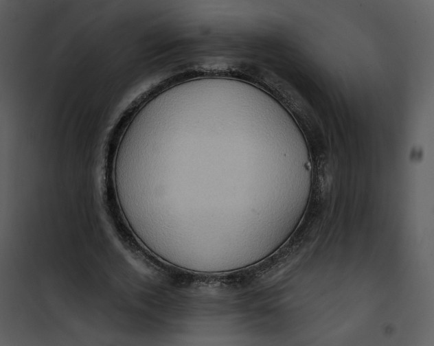 X0000101160728200807181358