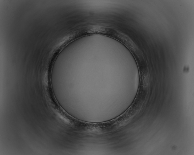 X0000101160729200807181358