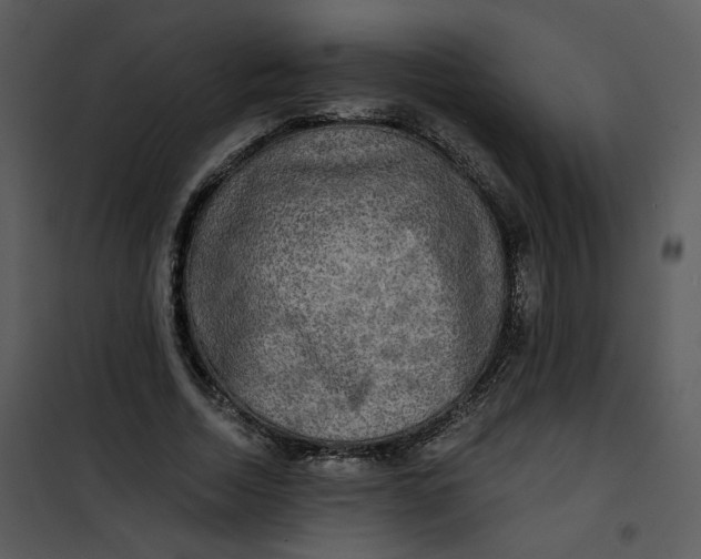 X0000101160730200807181358