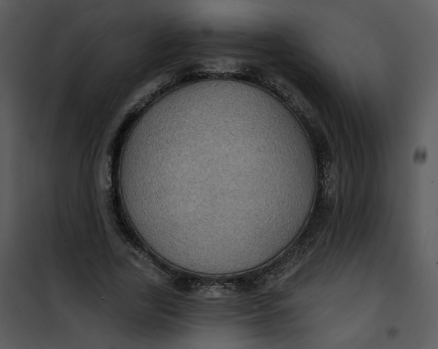 X0000101160731200807181358