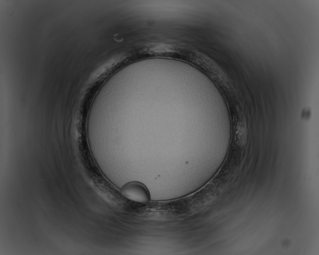 X0000101160732200807181358