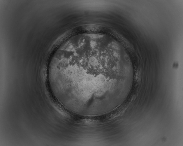 X0000101160733200807181358