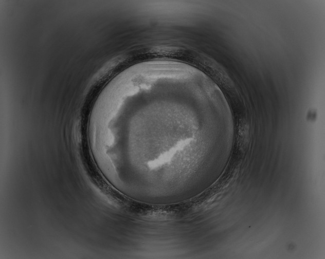 X0000101160734200807181358