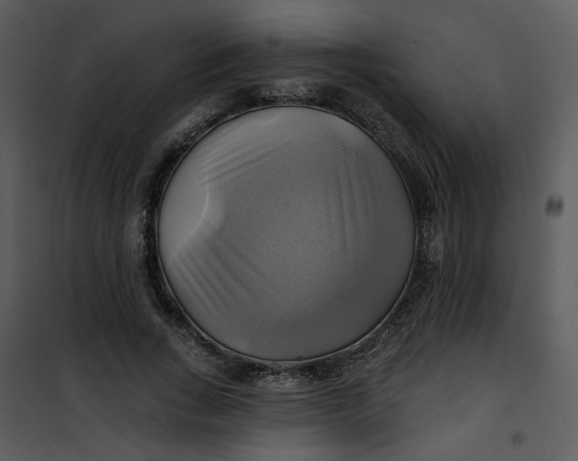 X0000101160735200807181358