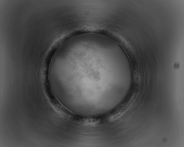 X0000101160736200807181358