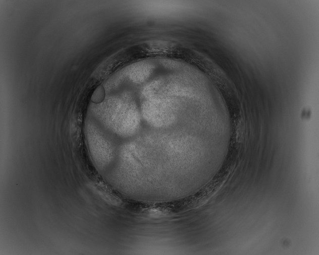 X0000101160737200807181358