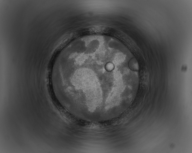 X0000101160738200807181358