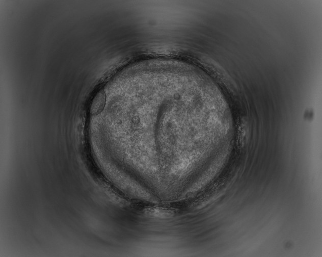 X0000101160739200807181358