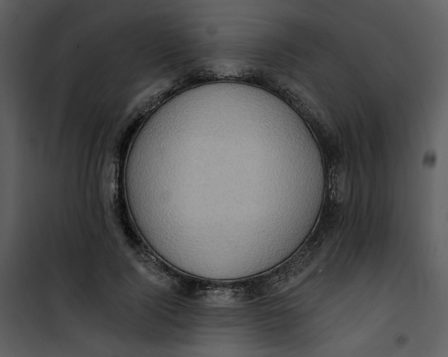 X0000101160740200807181358