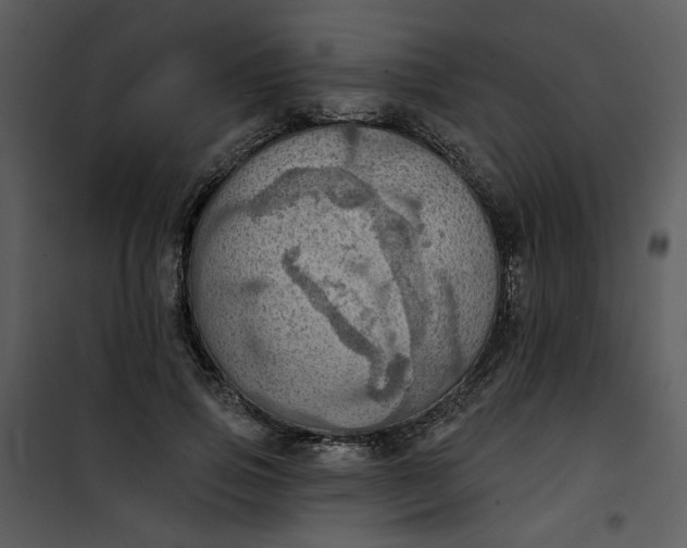 X0000101160741200807181358