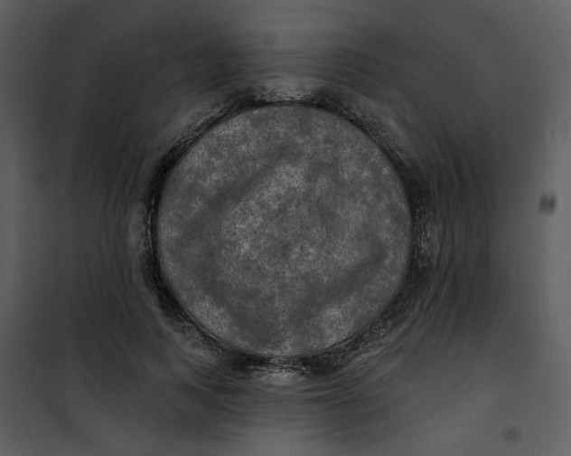 X0000101160743200807181358