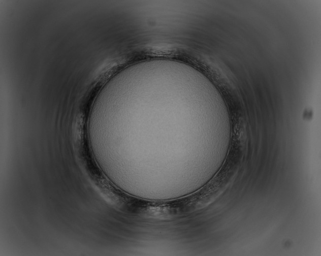 X0000101160744200807181358