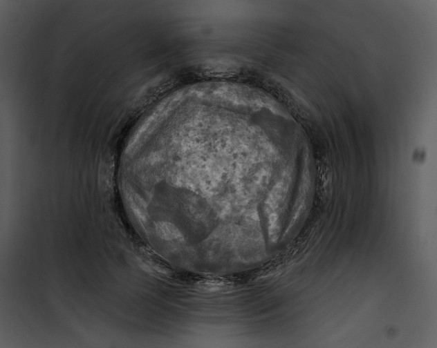 X0000101160745200807181358