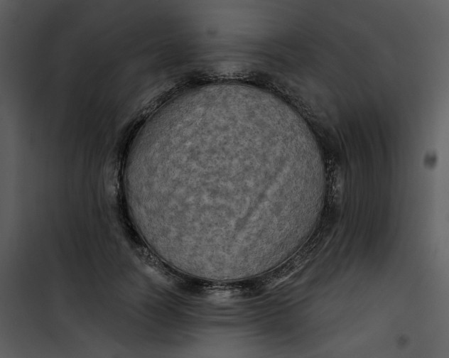 X0000101160746200807181358