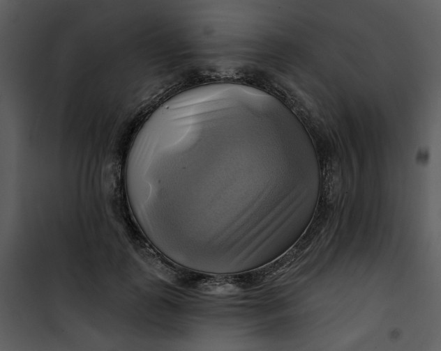 X0000101160747200807181358