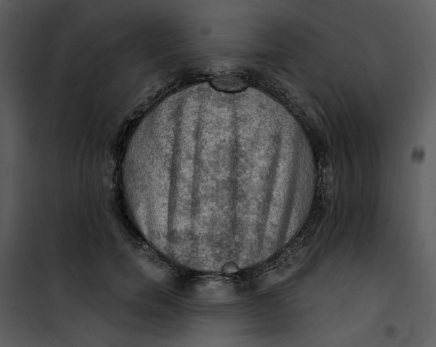 X0000101160750200807181358