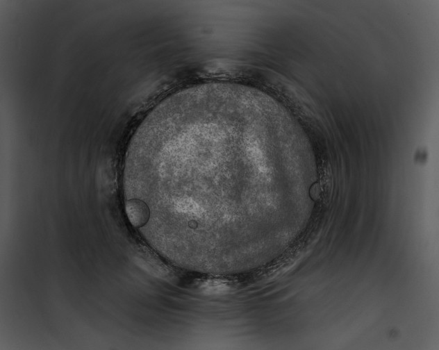 X0000101160751200807181358