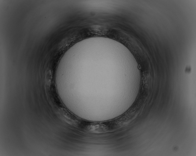 X0000101160752200807181358