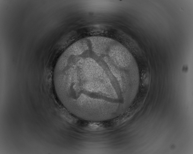 X0000101160753200807181358