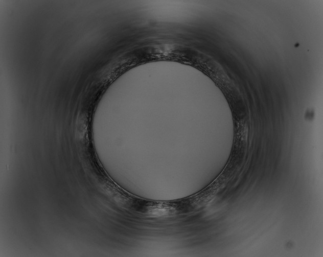 X0000101160754200807181358