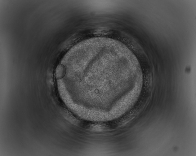 X0000101160755200807181358