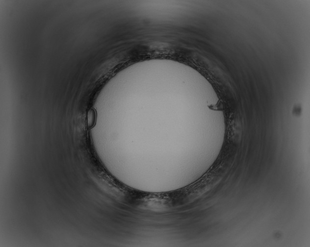 X0000101160756200807181358