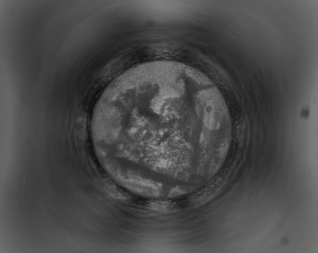 X0000101160757200807181358