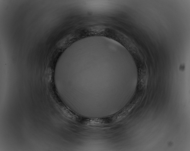 X0000101160758200807181358