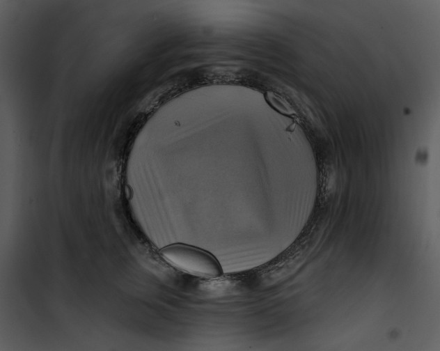 X0000101160759200807181358