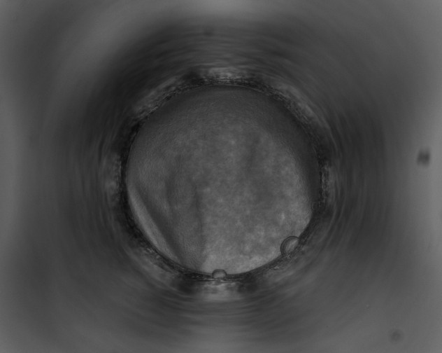 X0000101160760200807181358