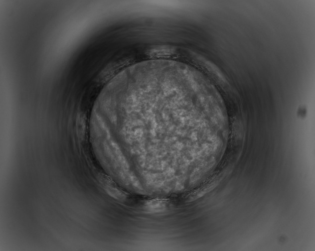 X0000101160761200807181358