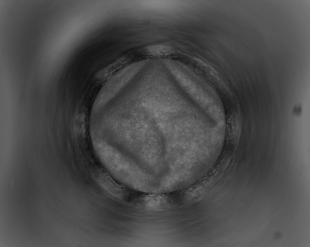 X0000101160762200807181359