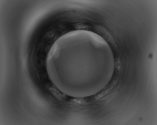 X0000101160763200807181359