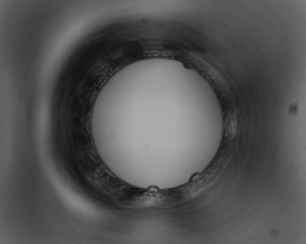 X0000101160764200807181359