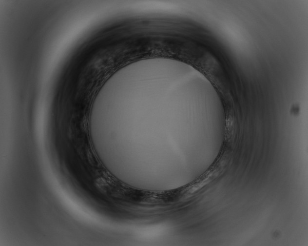 X0000101160765200807181359